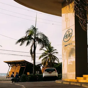 Palmetto Eliptic 4003 Cartagena